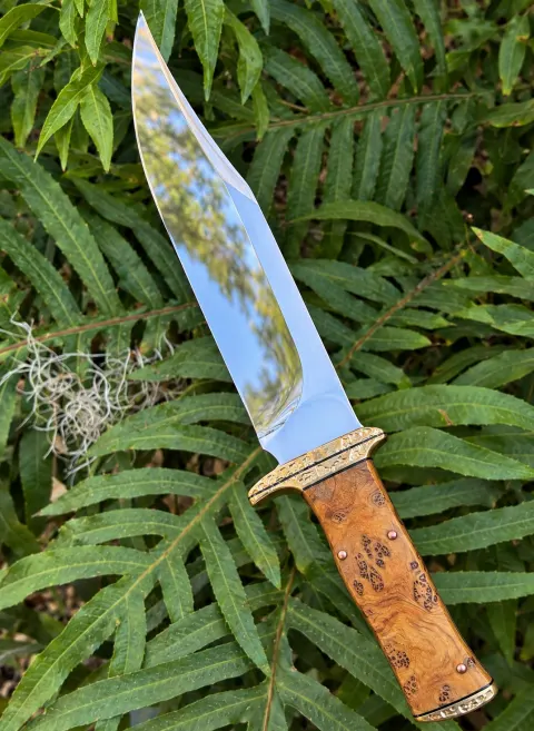 Hunter Bowie by Ettienne Vorster