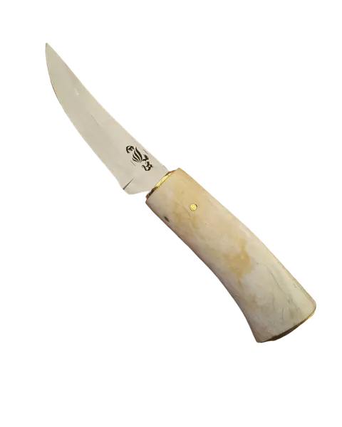 Zebra Hunter / Carver: by Johan Cornelissen